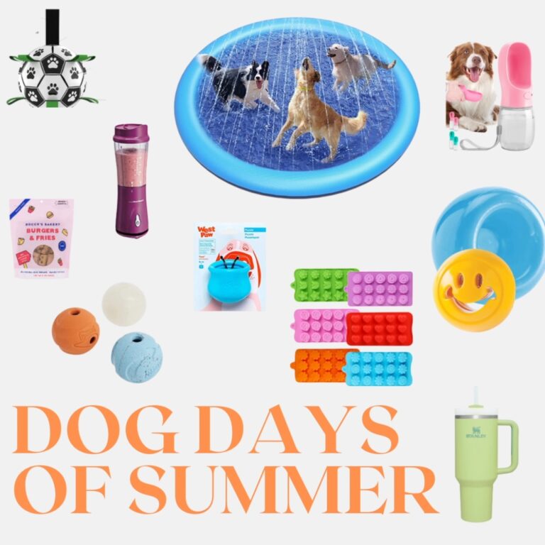 Dog Days of Summer – Enrichment Activities